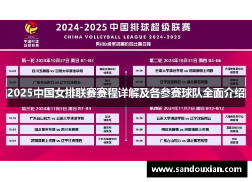 2025中国女排联赛赛程详解及各参赛球队全面介绍