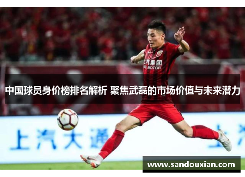 中国球员身价榜排名解析 聚焦武磊的市场价值与未来潜力