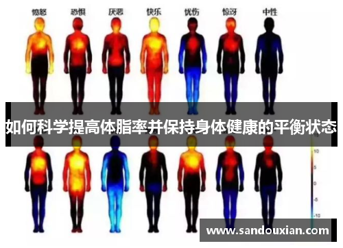 如何科学提高体脂率并保持身体健康的平衡状态