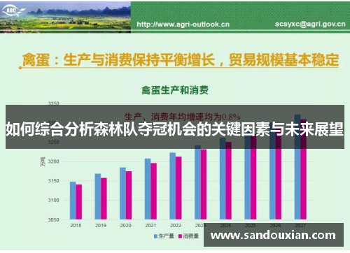 如何综合分析森林队夺冠机会的关键因素与未来展望