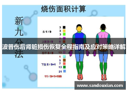 波普伤后肾脏损伤恢复全程指南及应对策略详解