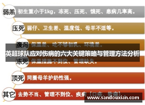 英超球队应对伤病的六大关键策略与管理方法分析
