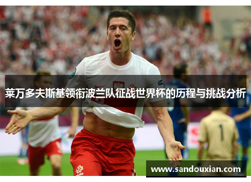 莱万多夫斯基领衔波兰队征战世界杯的历程与挑战分析