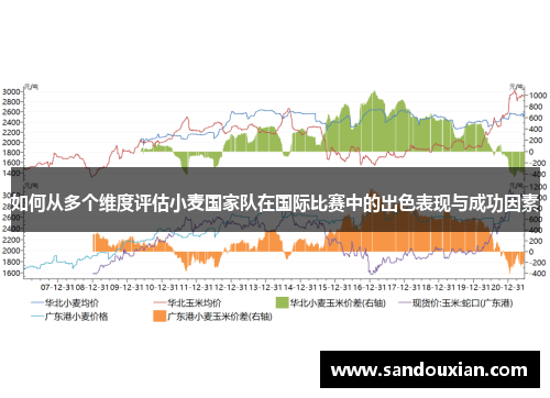 如何从多个维度评估小麦国家队在国际比赛中的出色表现与成功因素